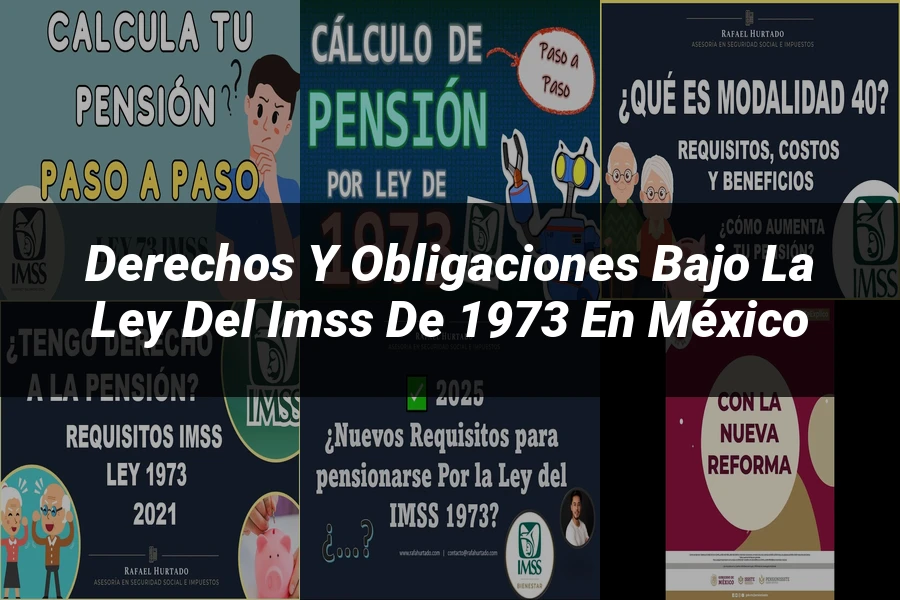 "Derechos y obligaciones bajo la ley del IMSS de 1973 en México"