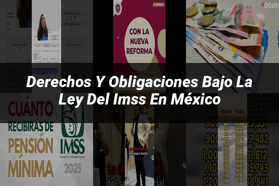 "Derechos y obligaciones bajo la ley del IMSS en México"
