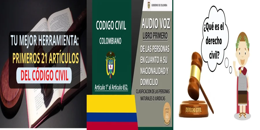 "Derechos y obligaciones de la persona según el Código Civil en México"