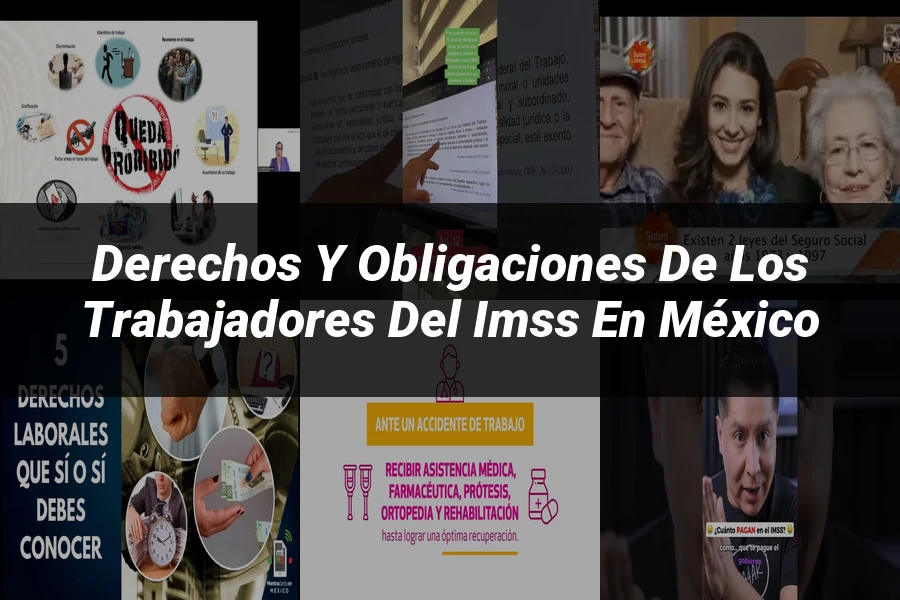 "Derechos y obligaciones de los trabajadores del IMSS en México"
