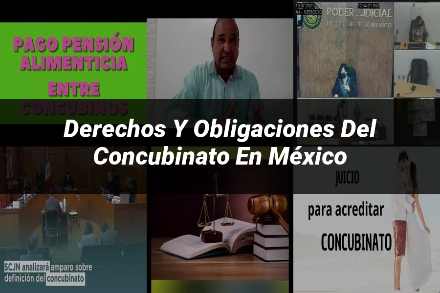 "Derechos y obligaciones del concubinato en México"