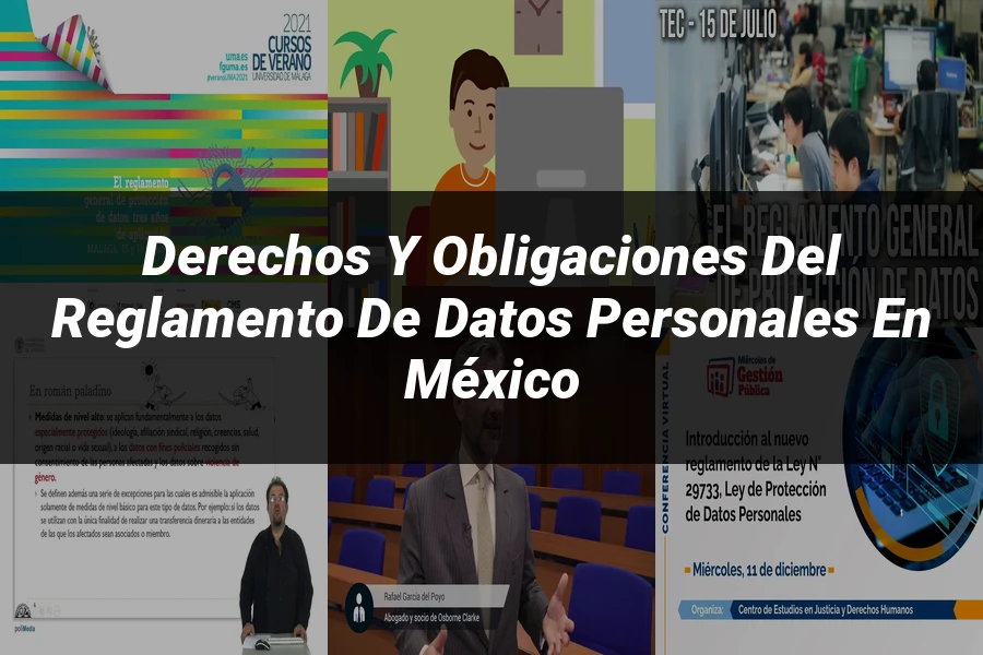 "Derechos y obligaciones del reglamento de datos personales en México"