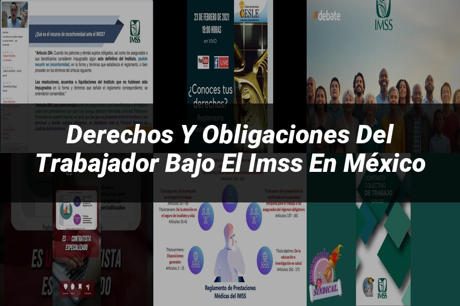"Derechos y obligaciones del trabajador bajo el IMSS en México"