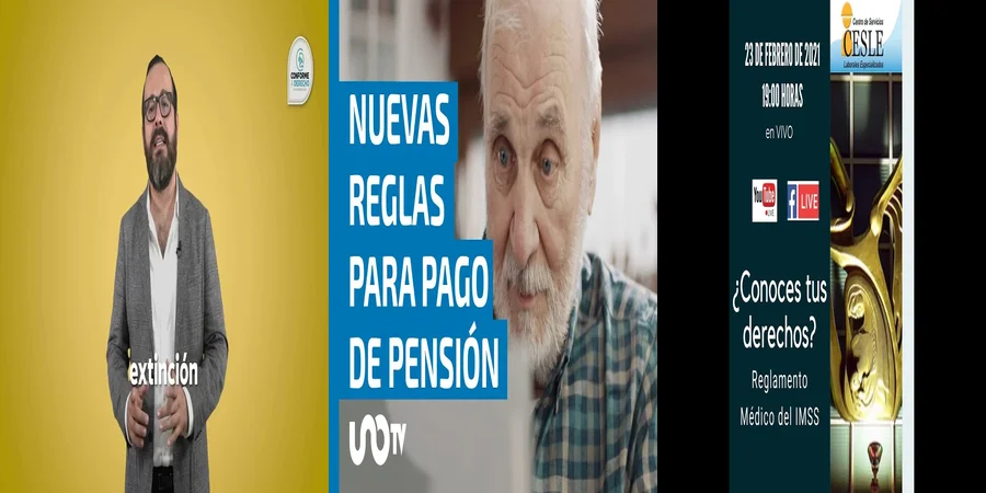 "Derechos y obligaciones del trabajador bajo el IMSS en México"