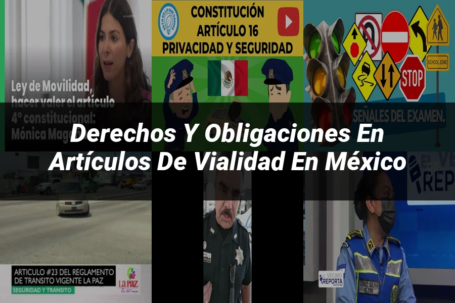"Derechos y obligaciones en artículos de vialidad en México"