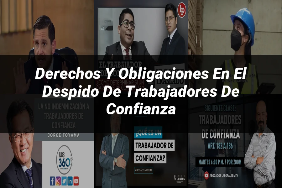 "Derechos y obligaciones en el despido de trabajadores de confianza"