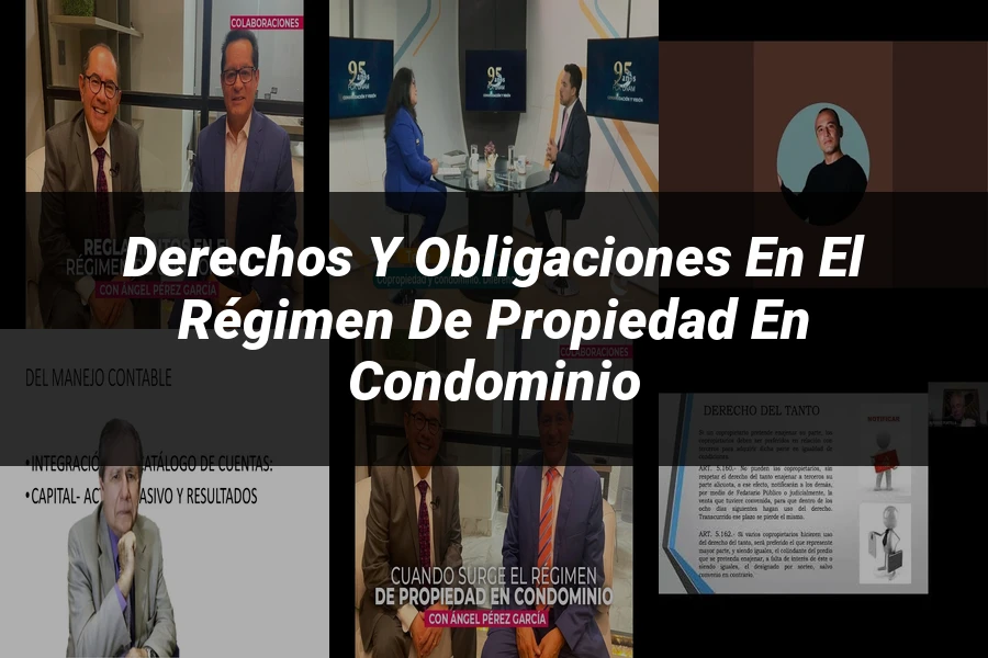 "Derechos y obligaciones en el régimen de propiedad en condominio"