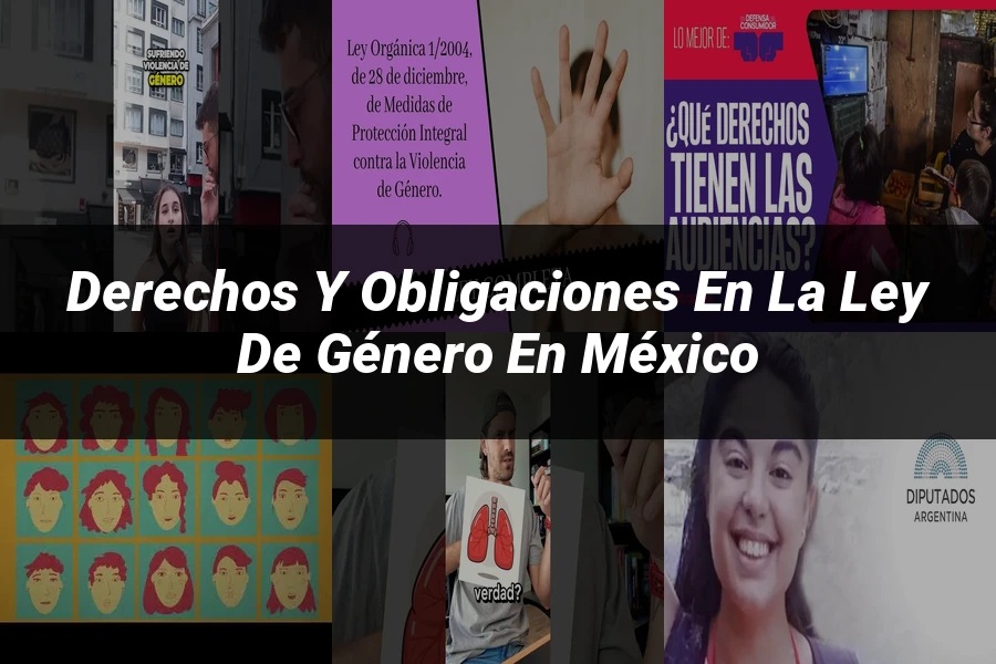 "Derechos y obligaciones en la ley de género en México"