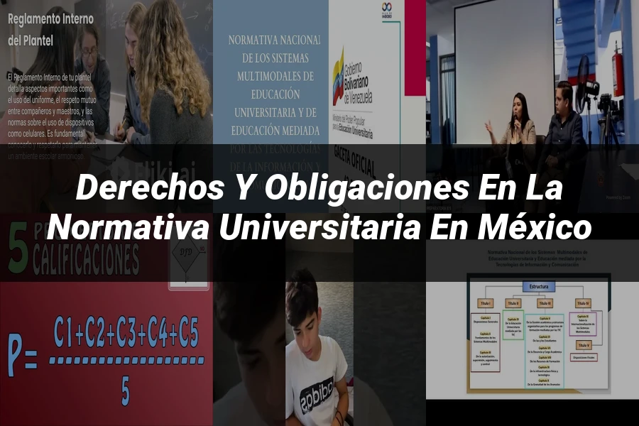 "Derechos y obligaciones en la normativa universitaria en México"