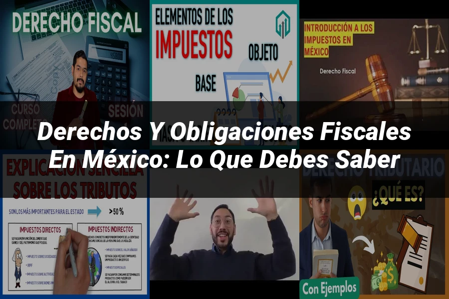 "Derechos y obligaciones fiscales en México: Lo que debes saber"