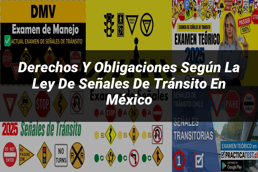 "Derechos y obligaciones según la ley de señales de tránsito en México"