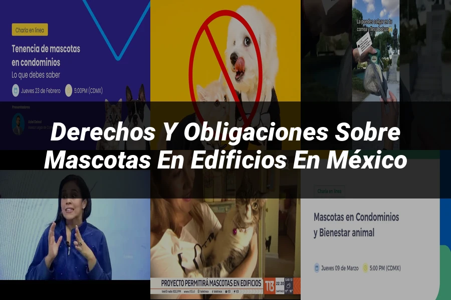 "Derechos y obligaciones sobre mascotas en edificios en México"