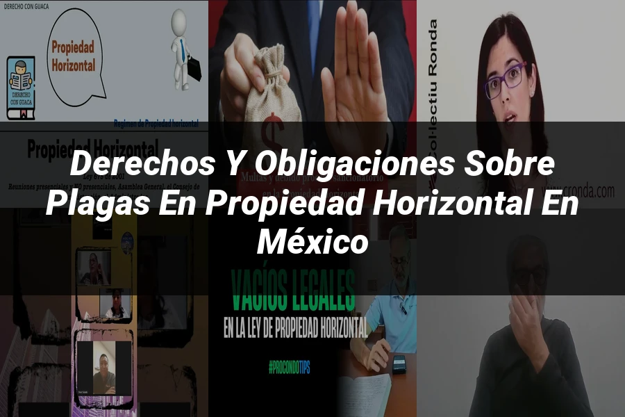 "Derechos y obligaciones sobre plagas en propiedad horizontal en México"