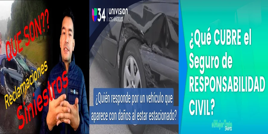 "Derechos y obligaciones tras un siniestro vehicular en México"