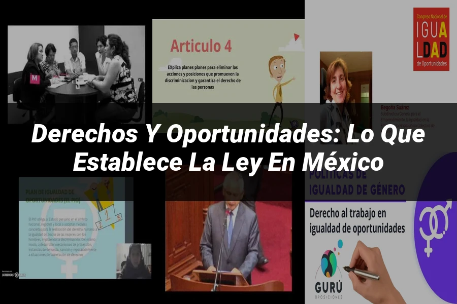 "Derechos y oportunidades: lo que establece la ley en México"