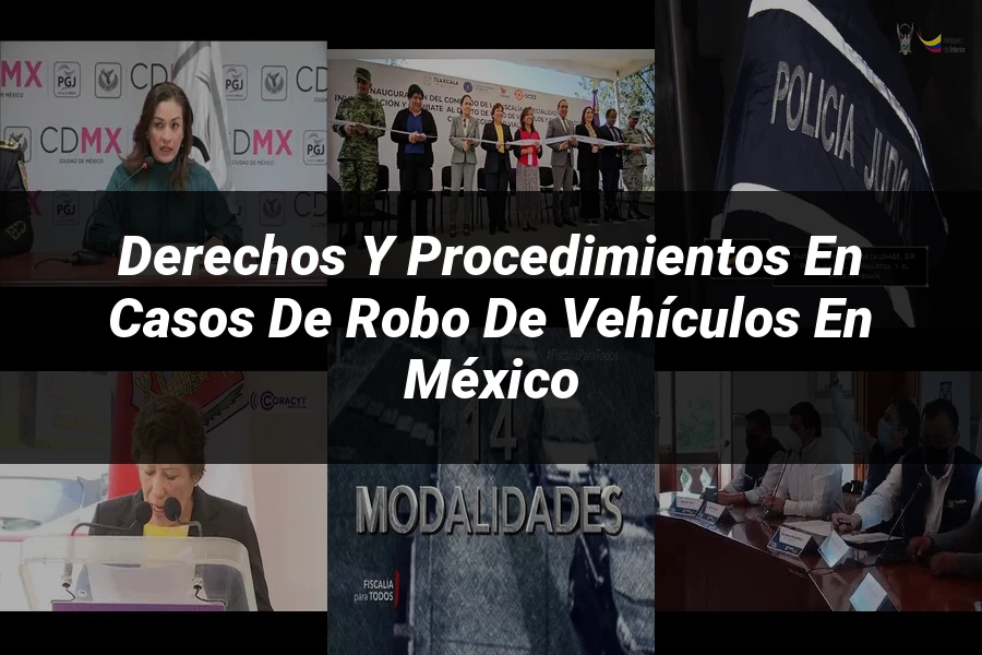 "Derechos y procedimientos en casos de robo de vehículos en México"