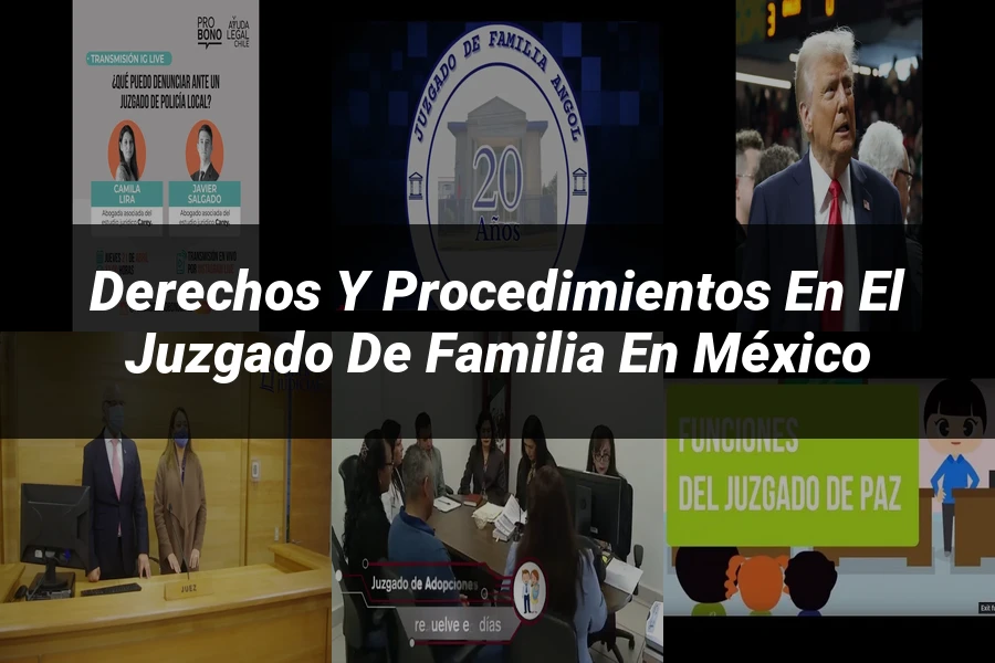 "Derechos y procedimientos en el juzgado de familia en México"