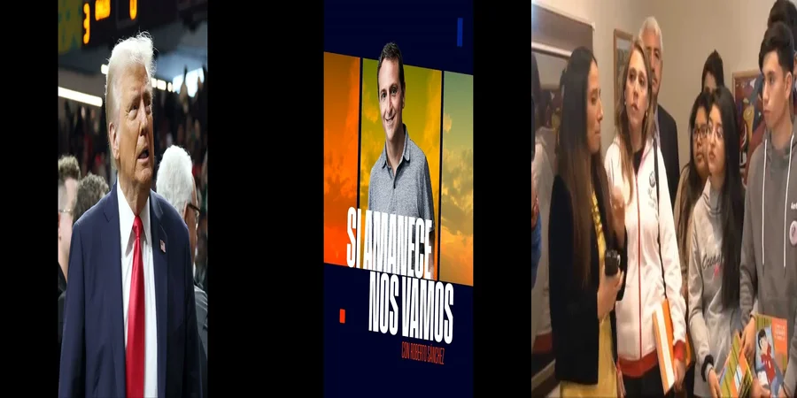 "Derechos y procedimientos en el juzgado de familia en México"