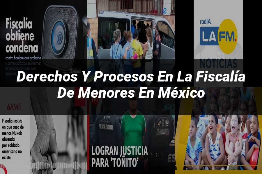 "Derechos y procesos en la fiscalía de menores en México"