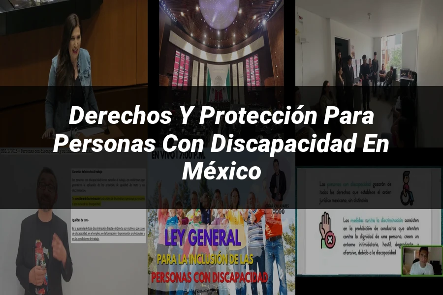 "Derechos y protección para personas con discapacidad en México"