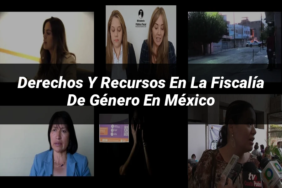 "Derechos y recursos en la fiscalía de género en México"