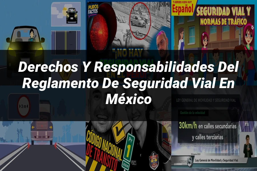 "Derechos y responsabilidades del reglamento de seguridad vial en México"