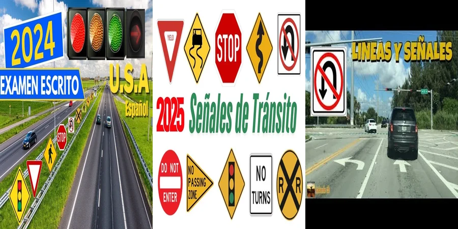"Derechos y responsabilidades en las leyes de tránsito en México"