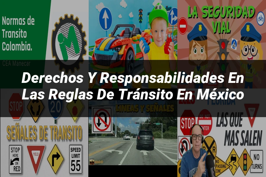 "Derechos y responsabilidades en las reglas de tránsito en México"