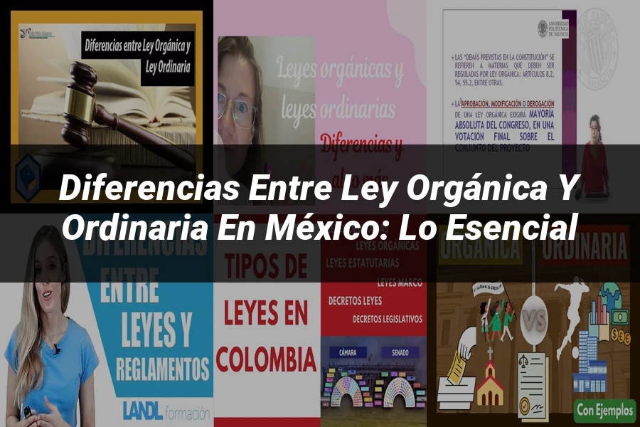 "Diferencias entre Ley Orgánica y Ordinaria en México: Lo Esencial"