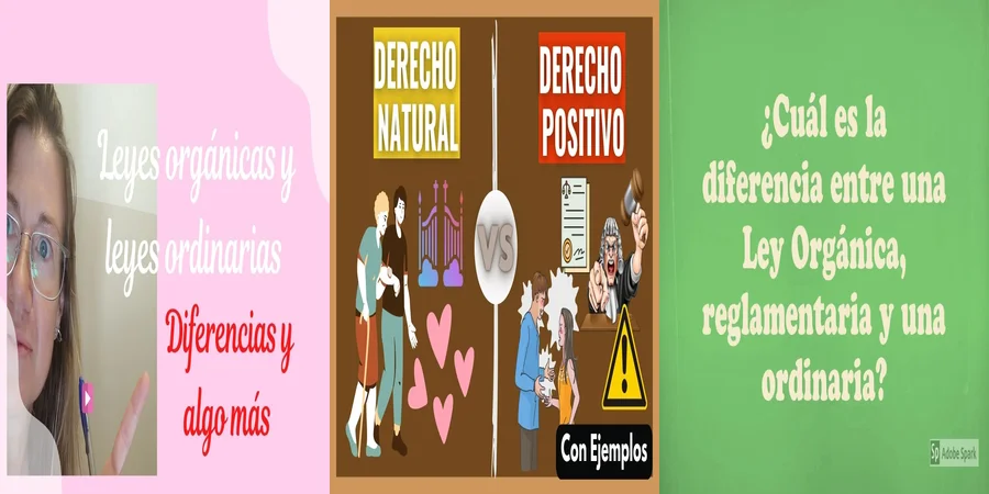 "Diferencias entre Ley Orgánica y Ordinaria en México: Lo Esencial"