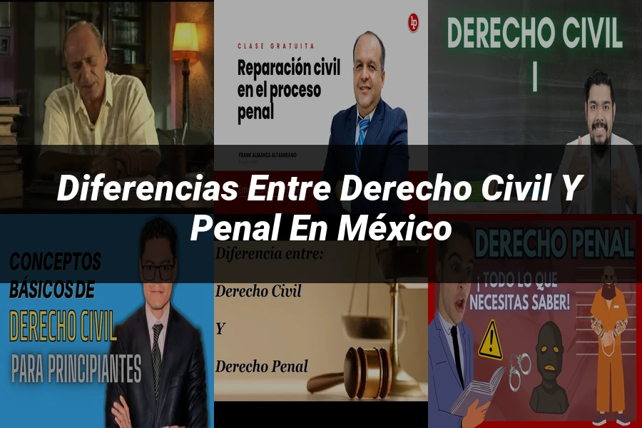 "Diferencias entre derecho civil y penal en México"