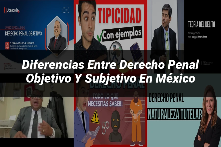 "Diferencias entre derecho penal objetivo y subjetivo en México"