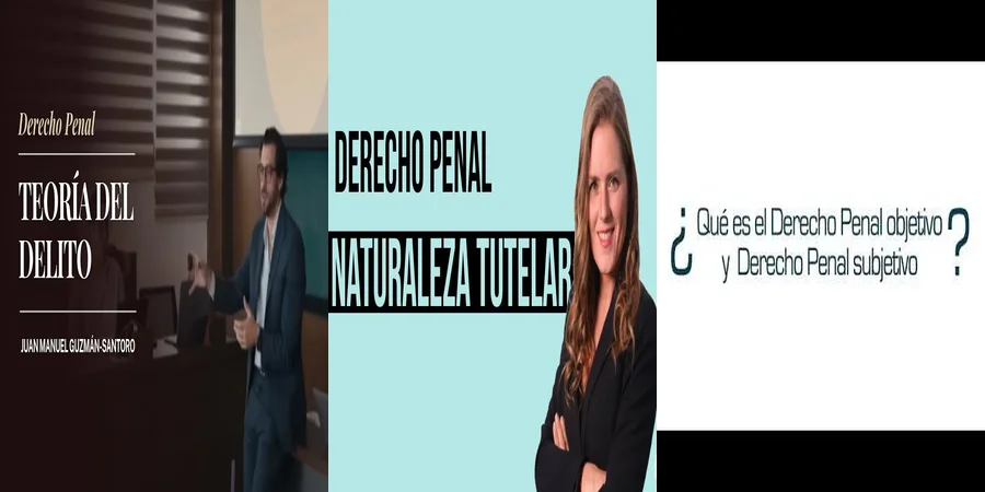"Diferencias entre derecho penal objetivo y subjetivo en México"