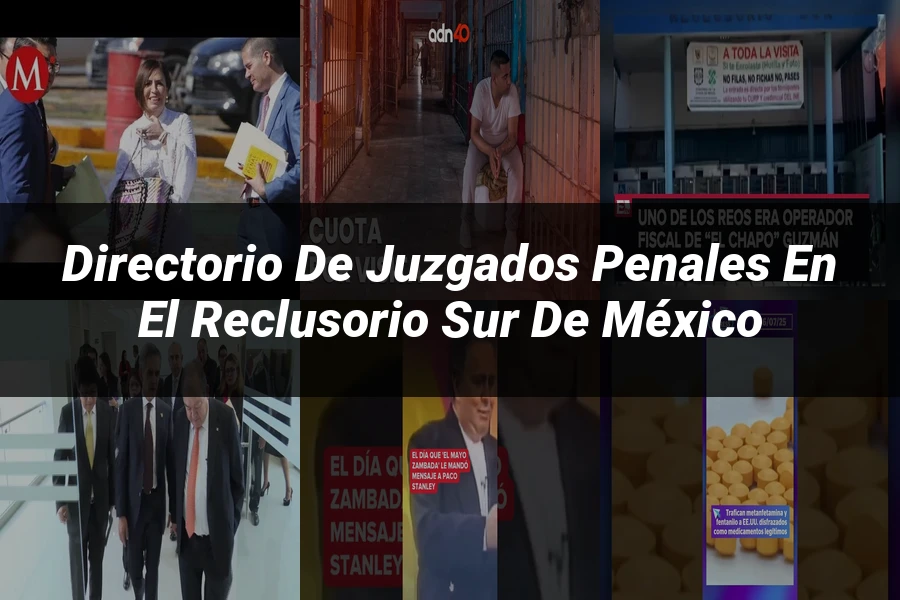 "Directorio de juzgados penales en el reclusorio sur de México"