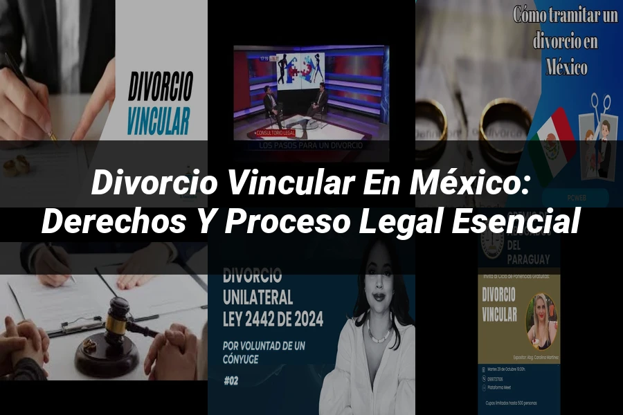 "Divorcio Vincular en México: Derechos y Proceso Legal Esencial"