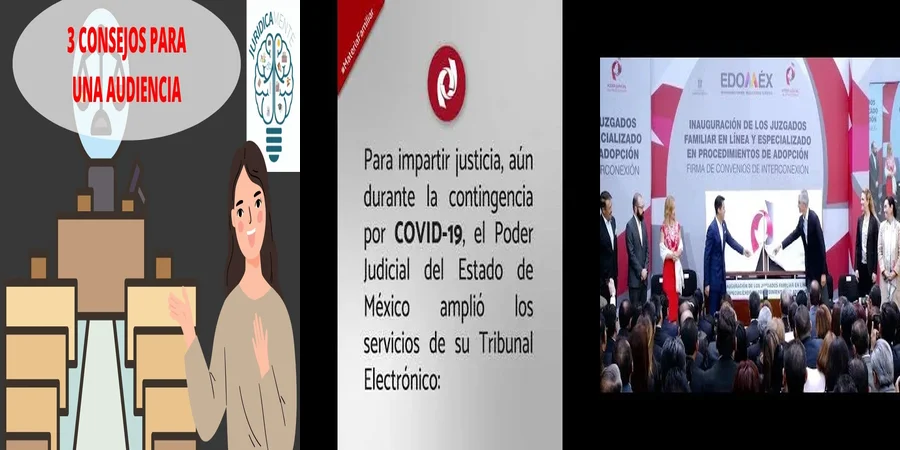"Divorcio en línea: derechos y procesos en México"