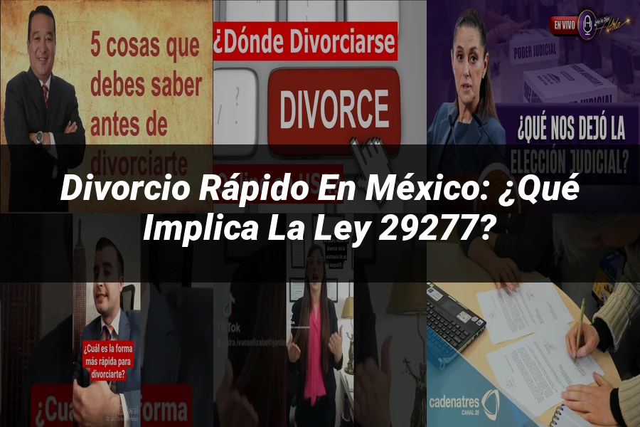 "Divorcio rápido en México: ¿Qué implica la ley 29277?"