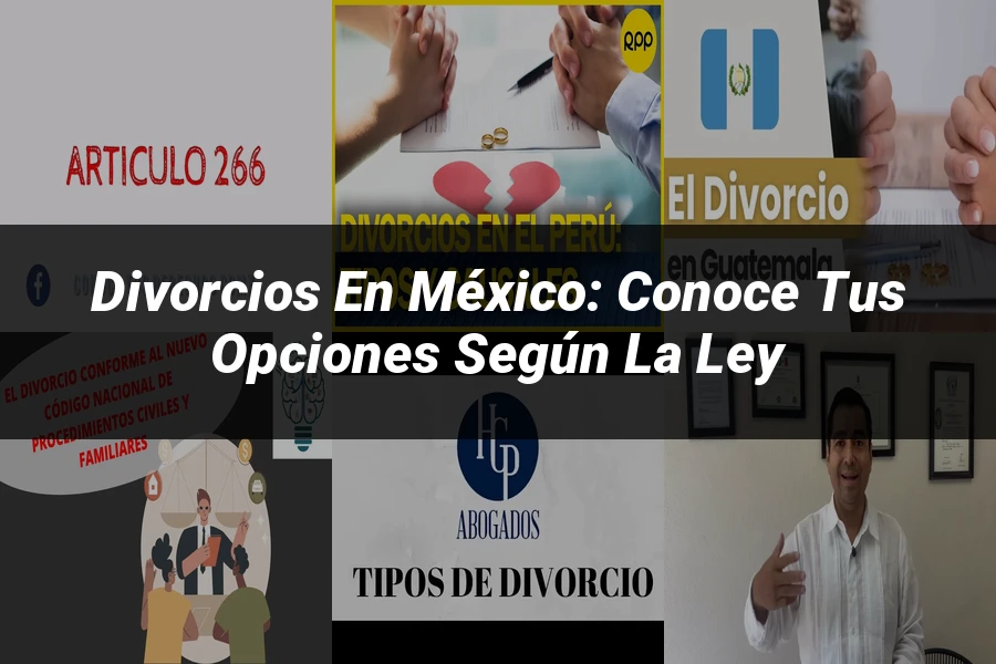 "Divorcios en México: Conoce tus Opciones según la Ley"