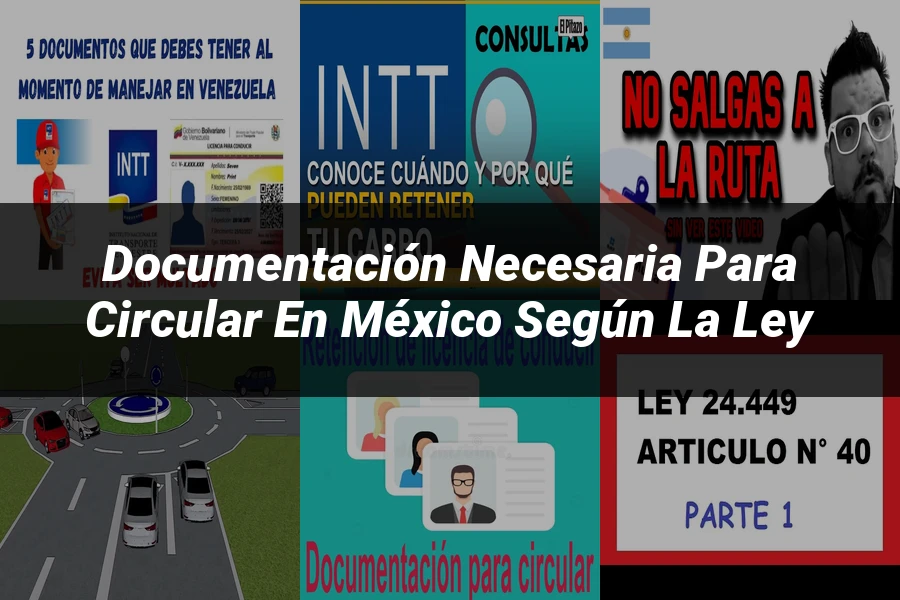 "Documentación necesaria para circular en México según la ley"