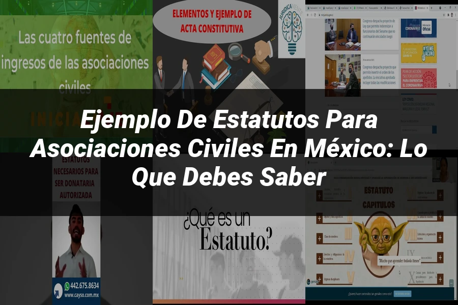 "Ejemplo de Estatutos para Asociaciones Civiles en México: Lo Que Debes Saber"