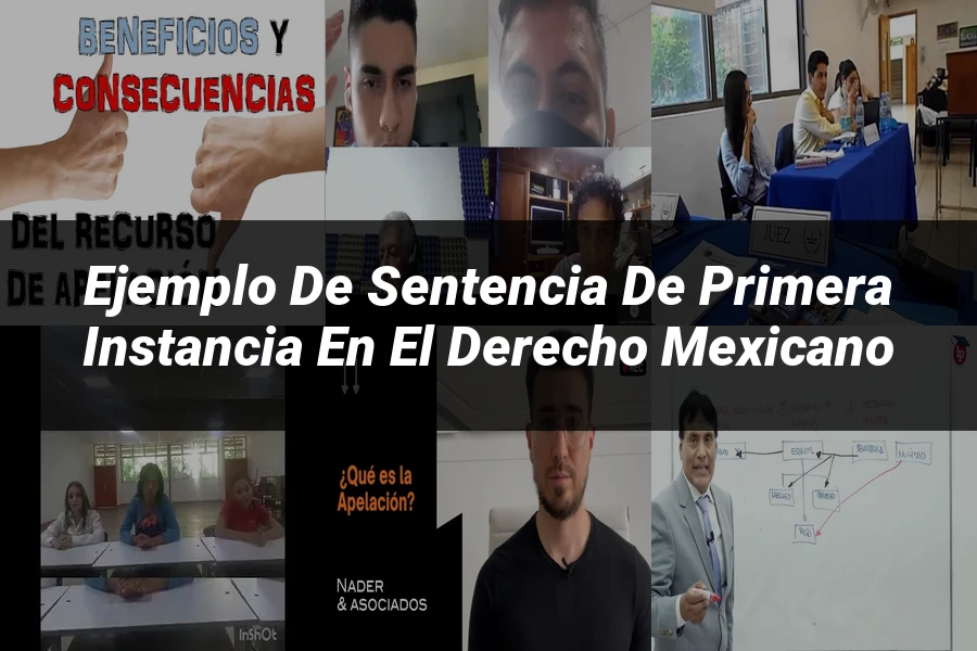 "Ejemplo de Sentencia de Primera Instancia en el Derecho Mexicano"
