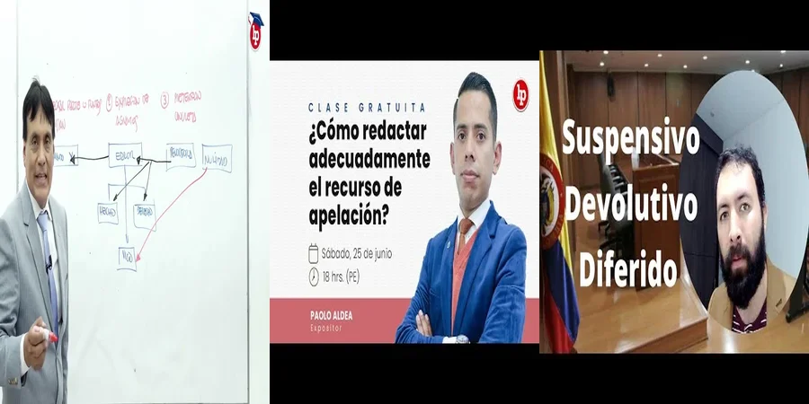 "Ejemplo de apelación en casos de pensión alimenticia en México"