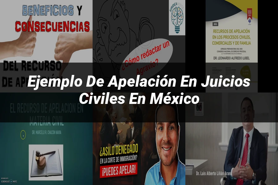"Ejemplo de apelación en juicios civiles en México"