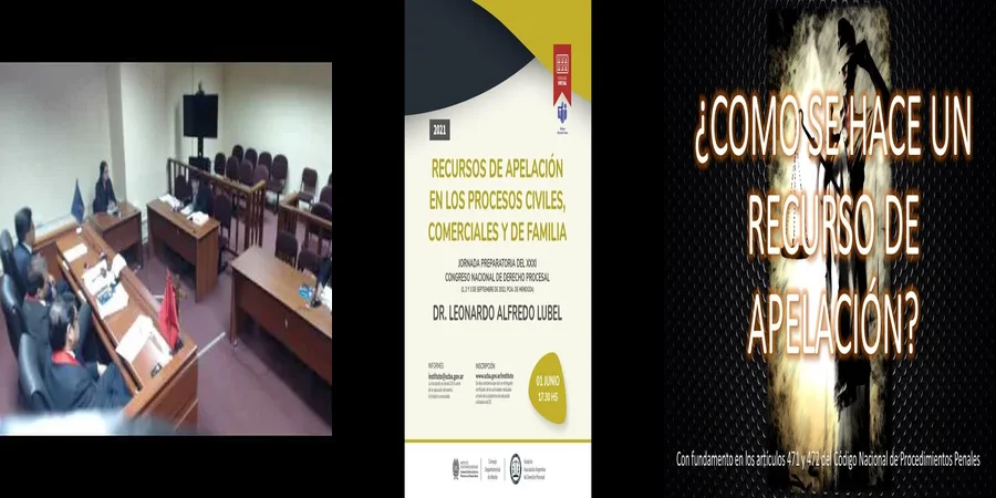 "Ejemplo de apelación en juicios civiles en México"
