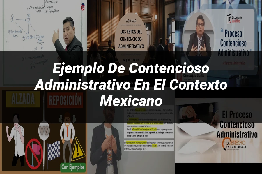 "Ejemplo de contencioso administrativo en el contexto mexicano"