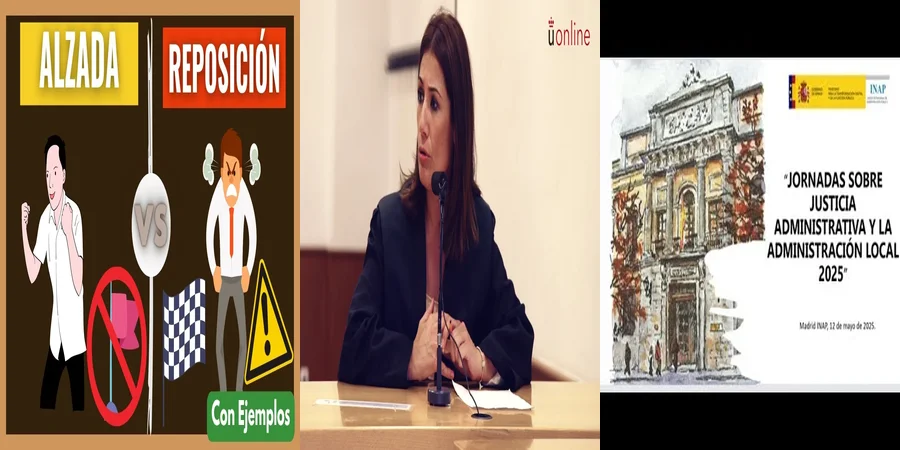 "Ejemplo de contencioso administrativo en el contexto mexicano"