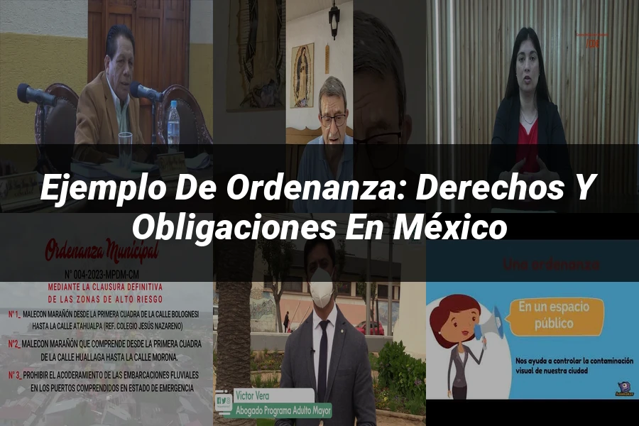 "Ejemplo de ordenanza: derechos y obligaciones en México"