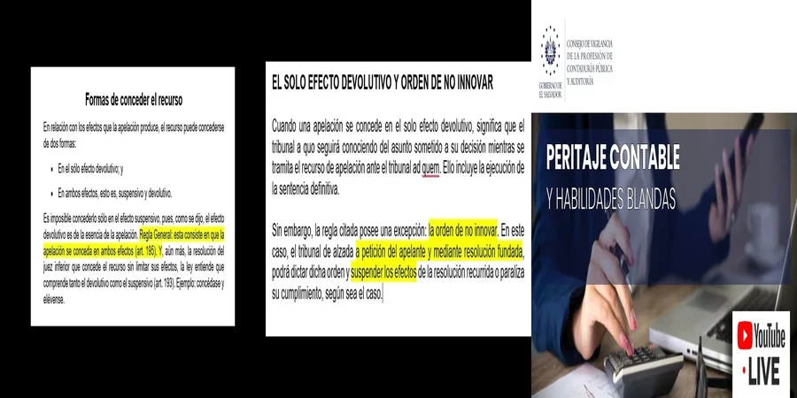 "Ejemplo del efecto devolutivo en juicios en México"