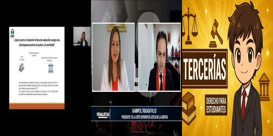 "Ejemplo práctico de recurso de apelación en el sistema mexicano"