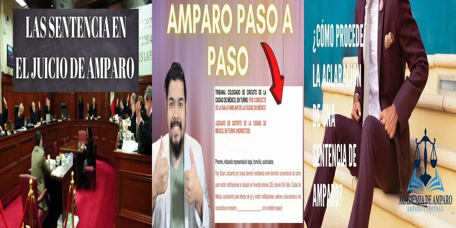 "Ejemplo práctico de sentencia de amparo en México"
